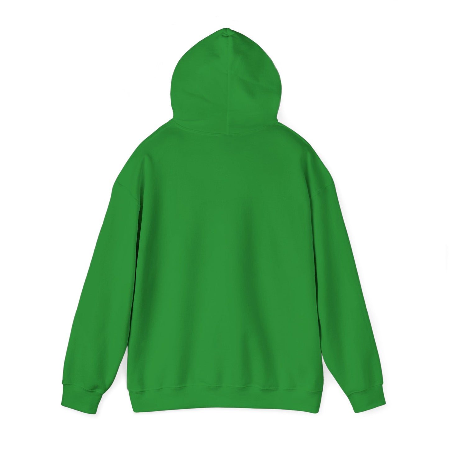 Motivational Hoodie for Everyday Empowerment, You Got This Sweatshirt, Cozy Gift for Friends, Inspirational Apparel, Self-Care Clothing