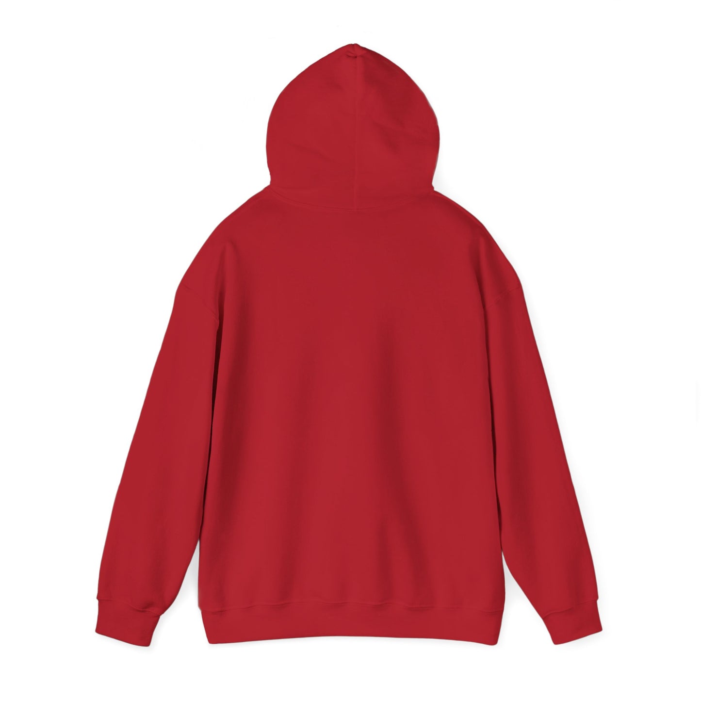 Motivational Hoodie for Everyday Empowerment, You Got This Sweatshirt, Cozy Gift for Friends, Inspirational Apparel, Self-Care Clothing